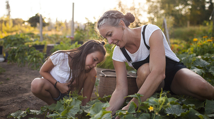 Mother and daughter planting flowers in their garden.